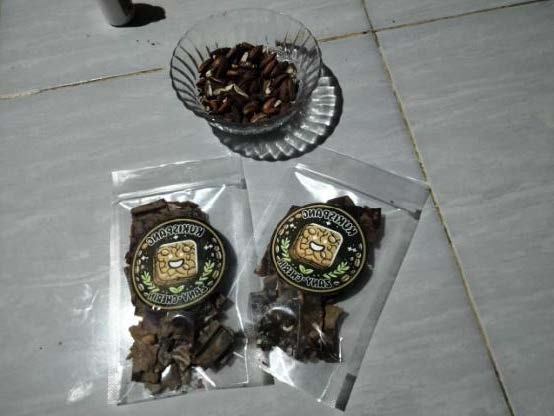 Melompati Batas Ketergantungan Gandum: Narasi Berani Srikandi Muda SMAN 2 Unggulan Talang Ubi Meramu Biji Ketapang Menjadi 'Kukispang'