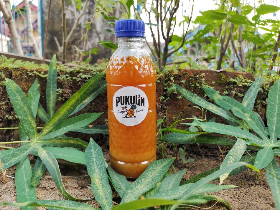 Kurangi Limbah dan Cegah Degradasi Lahan, SMAN 2 Unggulan Talang Ubi Luncurkan Inovasi "PUKULIN"