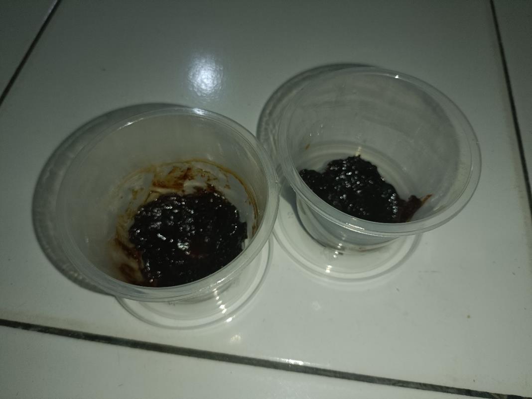 Sasar Pasar Ramah Lingkungan, Dua Pelajar PALI Sulap Ekstrak Buah Lerak Jadi Sabun Colek Alami